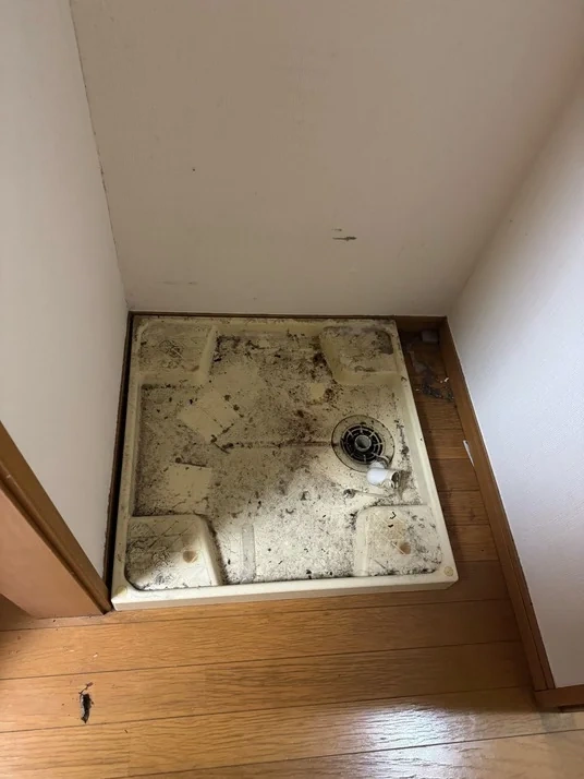 洗濯機置き場の清掃 Before