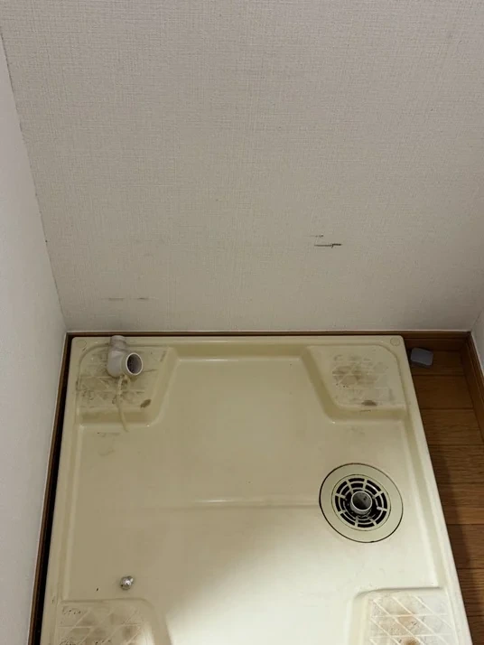 洗濯機置き場の清掃 After